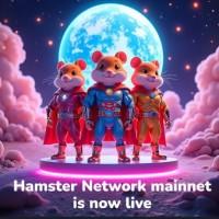 国外空投项目【 HamsterNetwork-TON】空投领取教程